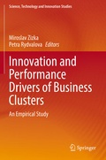 Cover: Innovation and Performance Drivers of Business Clusters - Springer