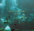 Cover: Sara Macel - Kehrer Verlag