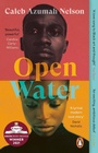 Cover: Open Water - Viking