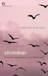 Enlarge image Cover: Shimmer - Edinburgh University Press