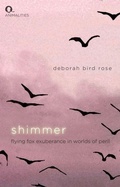 Cover: Shimmer - Edinburgh University Press