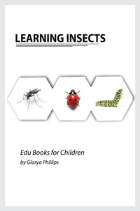 Enlarge image Cover: Learning Insects - Robert Cristofir