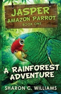 Cover: A Rainforest Adventure - Next Chapter