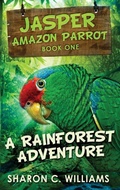 Cover: A Rainforest Adventure - Next Chapter