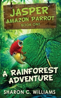 Enlarge image Cover: A Rainforest Adventure - Next Chapter