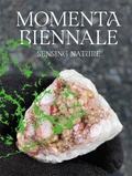 Cover: MOMENTA Biennale de l'image - Kerber Verlag