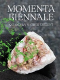 Cover: MOMENTA Biennale de l'image - Kerber Verlag