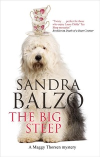 Abbildung von: The Big Steep - Severn House
