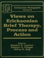 Cover: Views On Ericksonian Brief Therapy - Routledge