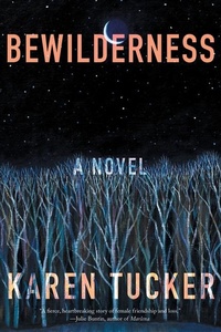 Enlarge image Cover: Bewilderness - Catapult