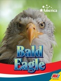 Cover: Bald Eagle - Av2