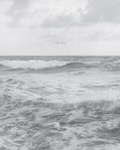 Cover: Barbara Bosworth: The Sea - Radius Books