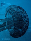 Cover: The Imaginary Sea - Jean Boite editions