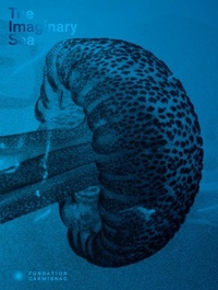 Enlarge image Cover: The Imaginary Sea - Jean Boite editions