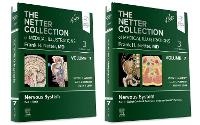 Enlarge image Cover: The Netter Collection of Medical Illustrations: Nervous System Package - Saunders