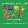 Cover: Do You Know What I Am? - Diamond and Halo Publishing, LLC