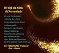 Cover: Wir sind alle nichts als Sternenstaub - tredition