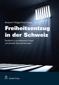 Cover: Freiheitsentzug in der Schweiz - St&auml;mpfli Verlag