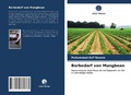 Cover: Borbedarf von Mungbean - Verlag Unser Wissen