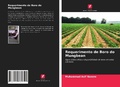 Cover: Requerimento de Boro do Mungbean - Edicoes Nosso Conhecimento