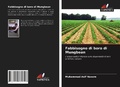 Cover: Fabbisogno di boro di Mungbean - Edizioni Sapienza