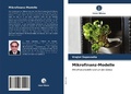 Cover: Mikrofinanz-Modelle - Verlag Unser Wissen