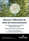 Bild: Mesurer l'effectivité du droit de l'environnement - Peter Lang Verlag