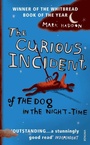 Cover: The Curious Incident of the Dog in the Night-Time - Vintage