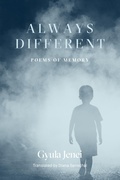 Cover: Always Different - Deep Vellum Publishing