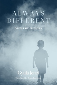 Enlarge image Cover: Always Different - Deep Vellum Publishing