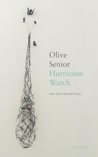 Abbildung von: Hurricane Watch - Carcanet Press Ltd