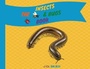 Cover: The Insects and Bugs Book - Kitten Puppy Kids Press