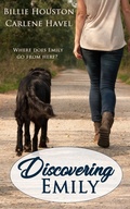 Cover: Discovering Emily - Chavelbooks LLC