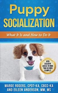 Enlarge image Cover: Puppy Socialization: What It Is and How to Do It - Bright Friends Productions
