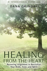 Abbildung von: Healing from the Heart - Ignite Press
