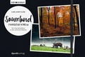 Cover: Sauerland fotografieren - dpunkt