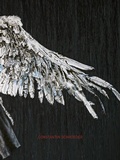Cover: Constantin Schroeder - Art In Flow Verlag, Ulrike Oppelt