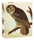 Cover: Audubon Owls QuickNotes - teNeues Publishing Company