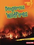 Cover: Dangerous Wildfires - Lerner Publishing Group
