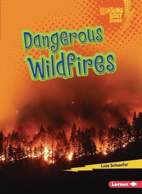 Enlarge image Cover: Dangerous Wildfires - Lerner Publishing Group