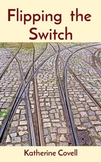 Enlarge image Cover: Flipping the Switch - Somewhat Grumpy Press Inc.