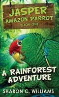 Cover: A Rainforest Adventure - Next Chapter