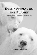 Cover: Every Animal on the Planet - Alison Steven