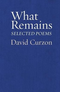 Enlarge image Cover: What Remains - Ben Yehuda Press