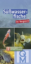 Bild: Süßwasserfische - Quelle & Meyer