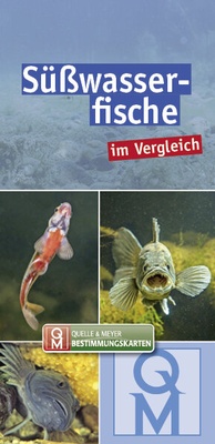 Abbildung von: Süßwasserfische - Quelle & Meyer