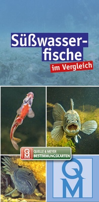 Abbildung von: Süßwasserfische im Vergleich - Quelle & Meyer