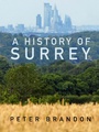Cover: A History of Surrey - Phillimore & Co Ltd