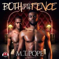 Enlarge image Cover: Both Sides of the Fence - Urban Books