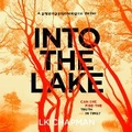 Cover: Into the Lake - Dreamscape Media